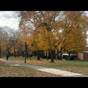 Meet your Posher, Nolen